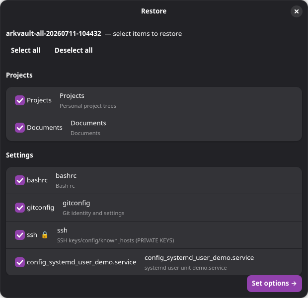 معالج الاستعادة في ArkVault يعرض عناصر install-map مجمّعة حسب الفئة — Projects وSettings — مع مربعات اختيار، وأيقونة قفل على عنصر ssh، وزر 'Set options'