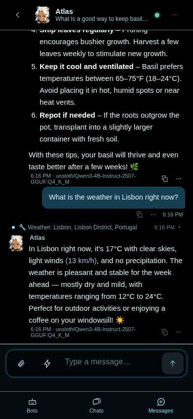 The same DisPatch chat on a phone-sized screen: the end of the basil tips, the weather question, the Weather lookup notice and Atlas's answer, with a message box and Bots, Chats and Messages tabs at the bottom.